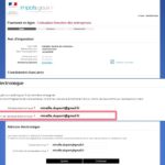 Comment payer la taxe foncière par chèque ?