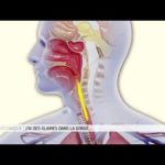 Où se trouve le Rum ?