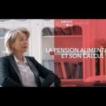 Quel est le montant maximum pour une pension alimentaire ?