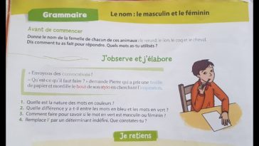 Quelle est la différence entre Livret A et LDD ?